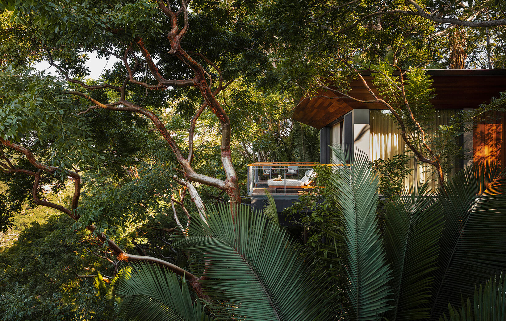 hotel villa sits in jungle with large terrace