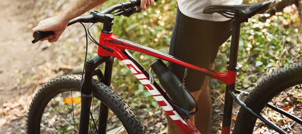 detailed image of premium mountain bike at mandarina
