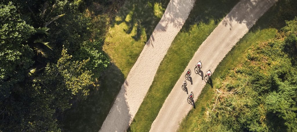 family bikes on road surrounded by jungle at mandarina