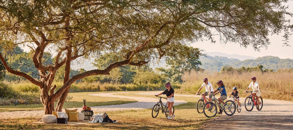 family on bikes pulls over to a picnic setting under the tree
