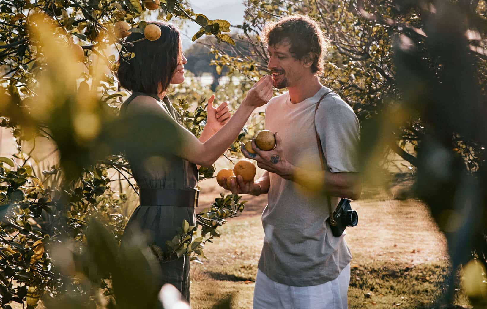 couple tastes oranges from organic fruit orchard