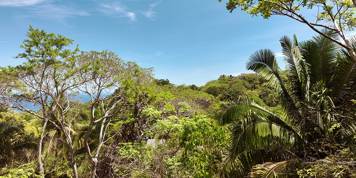 jungle views from villa homesite perch