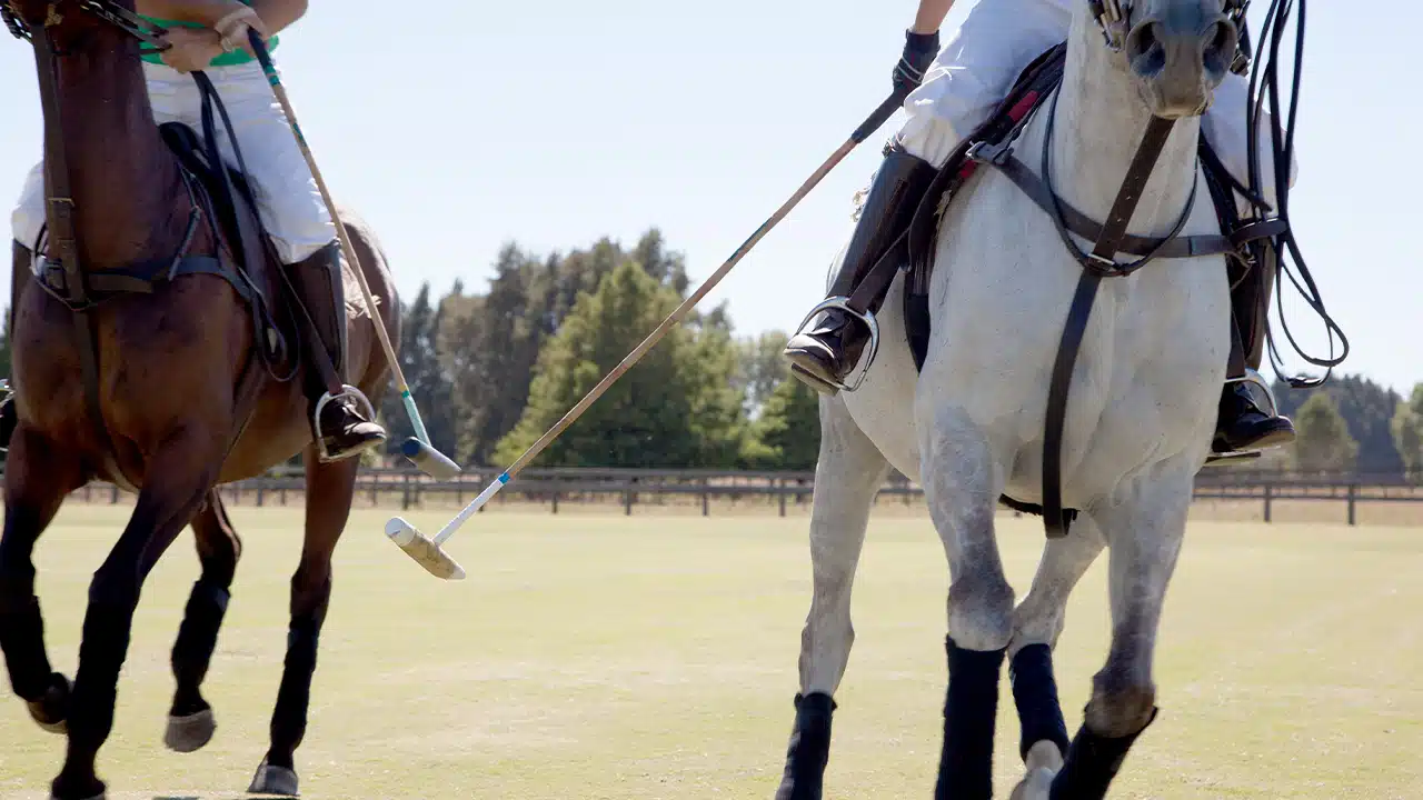How to play polo