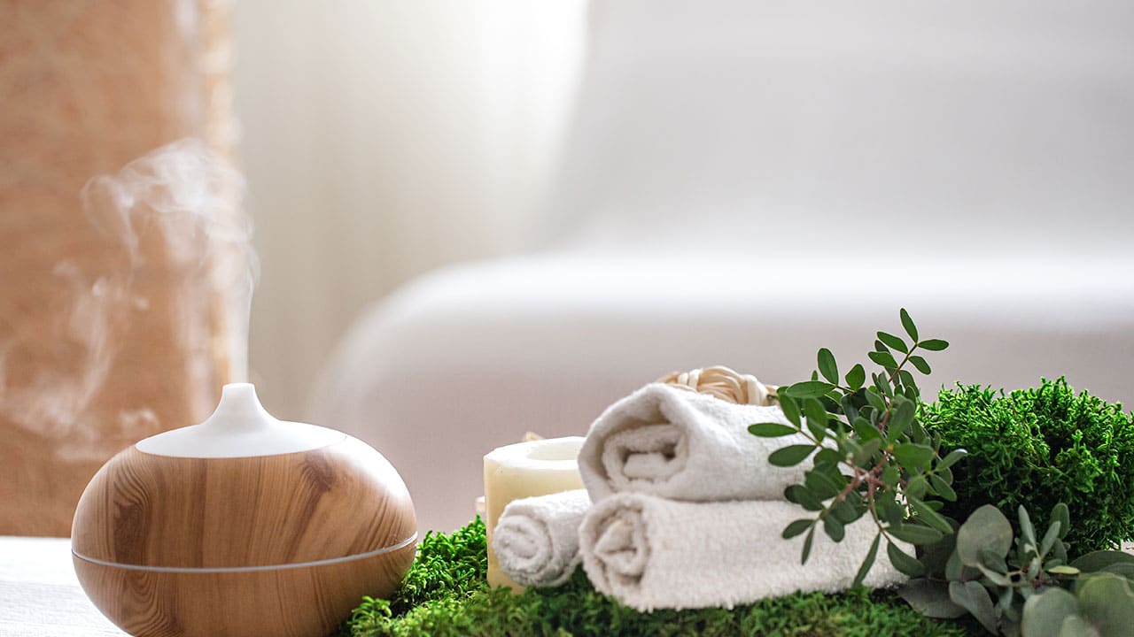 wellness retreat riviera nayarit